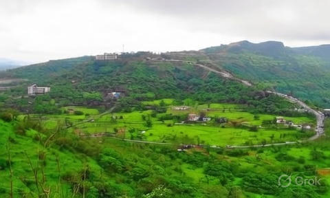 28f87d65 00ff 4c1f 8268 bc845101296f