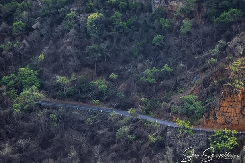 3b9abedc 5116 4b49 92e6 537c8d40319c