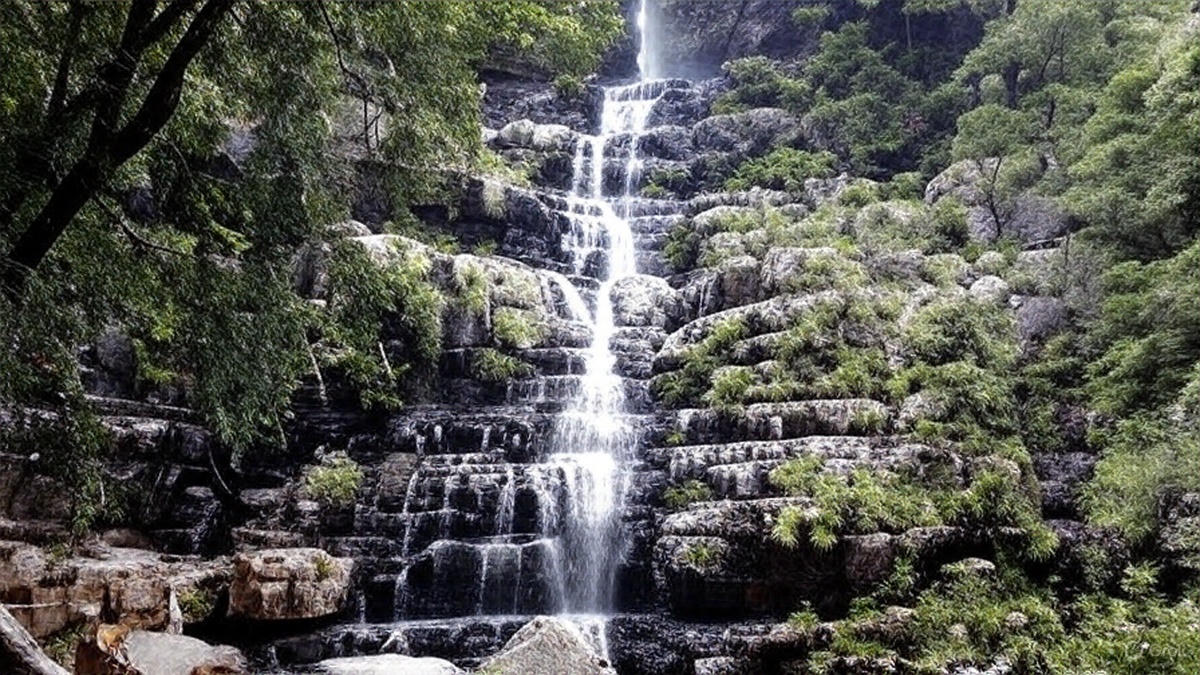 5ef46000 2643 4256 9616 b94c2f623e79