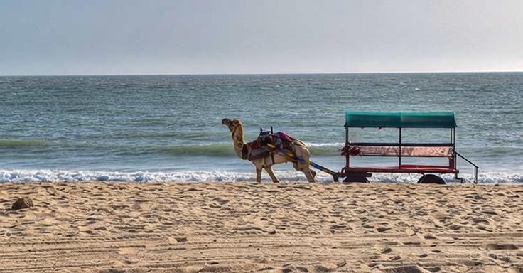 d45550b8 b6a5 4317 b040 1638ea3cf4a0