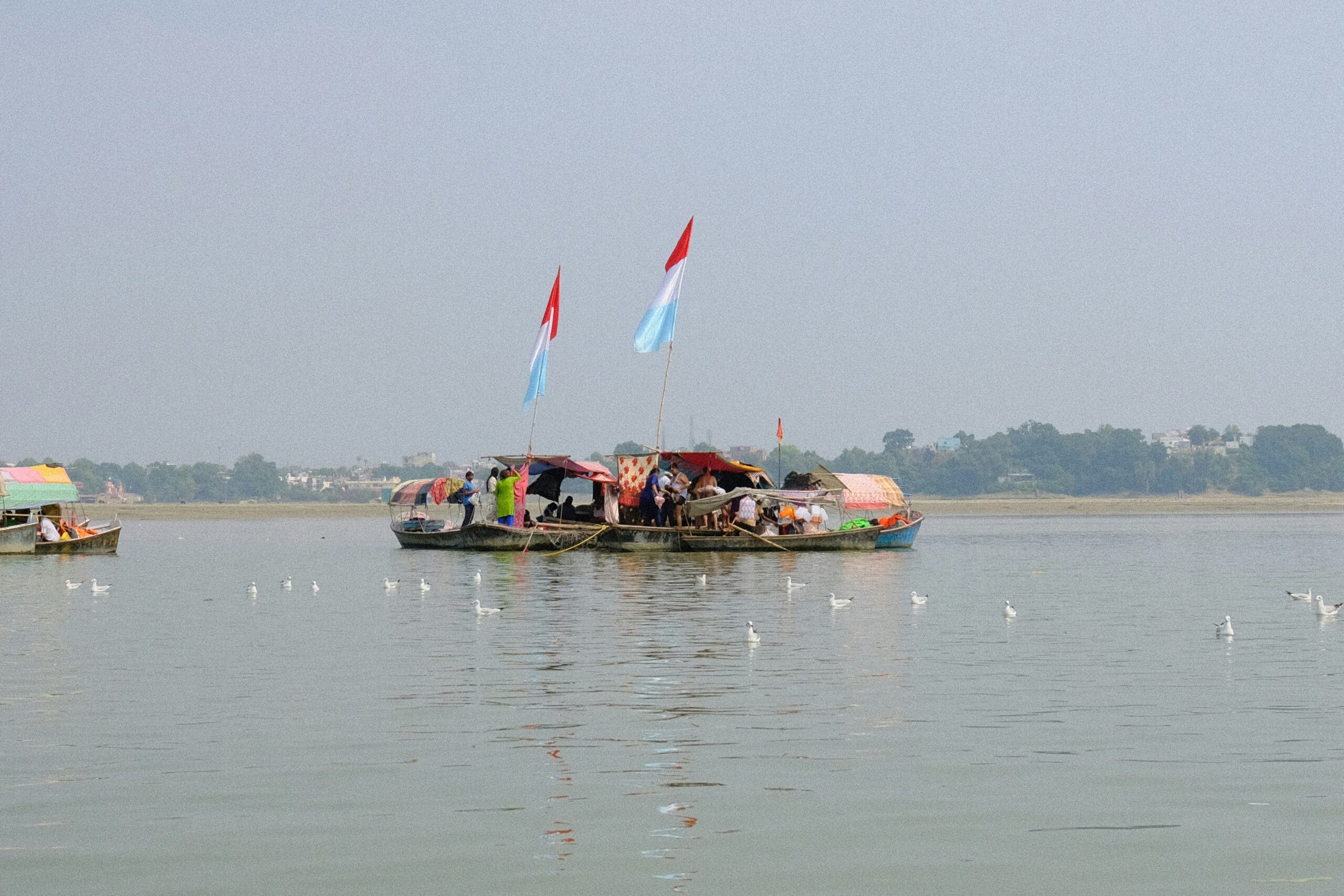 rahul mishra q6e5wijmxce unsplash