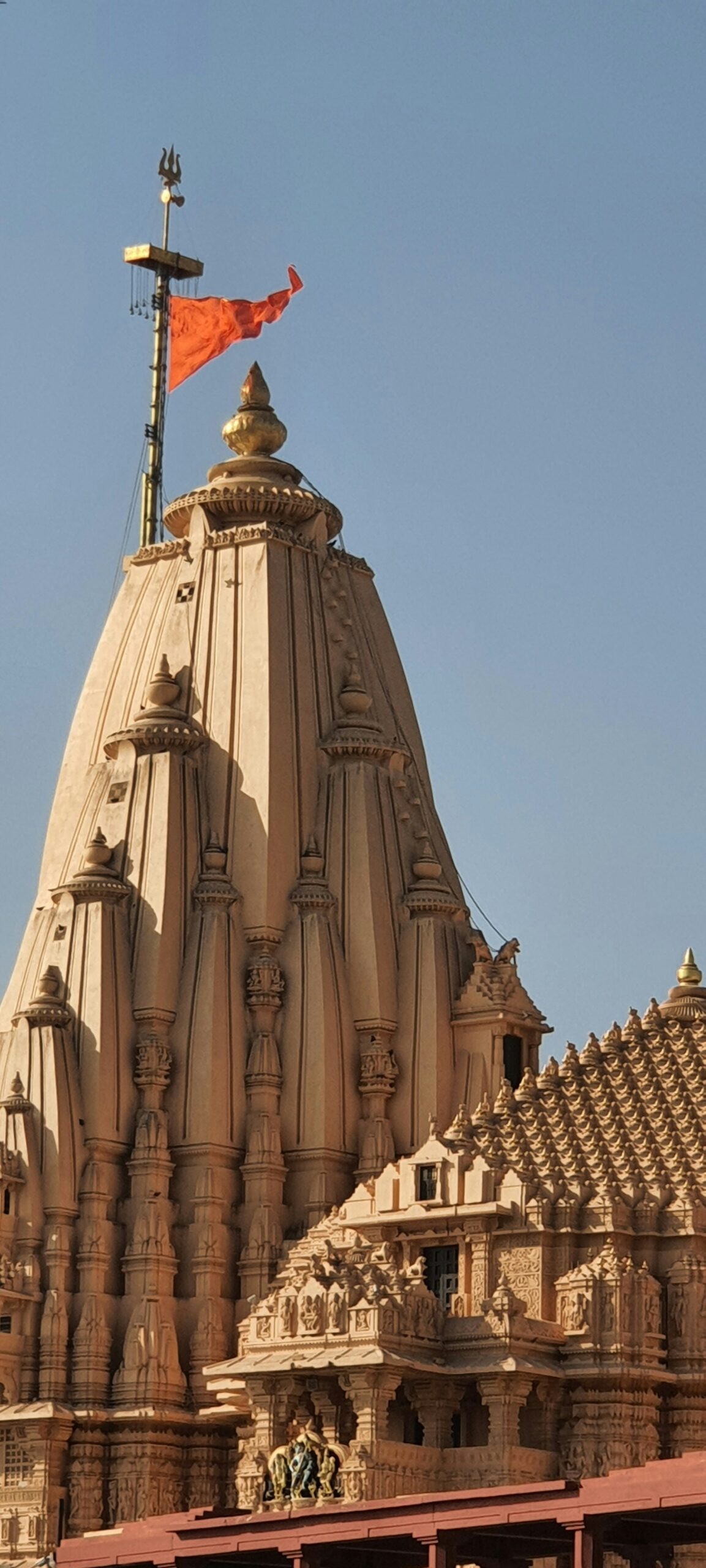 vishu kadvatar 5iva8caom9i unsplash